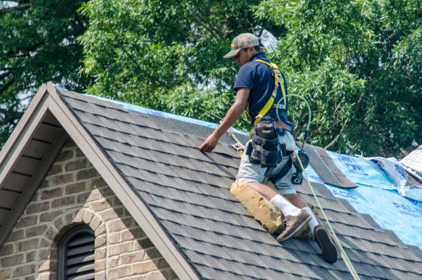 Best Gutter Installation and Roofing  in Dickinson, TX